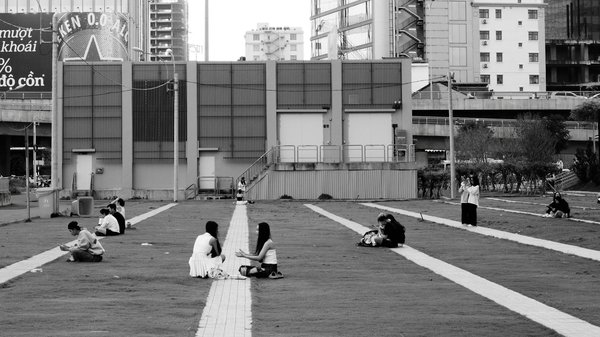 Scoprire il Magico Mondo degli Animali Domestici